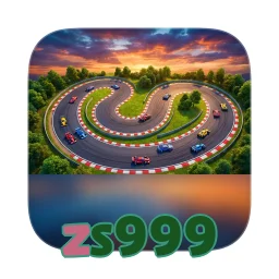 zs999